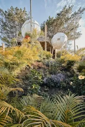 Cocoon Villa