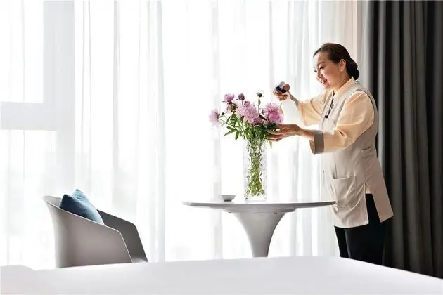 Premier Süit (Video)