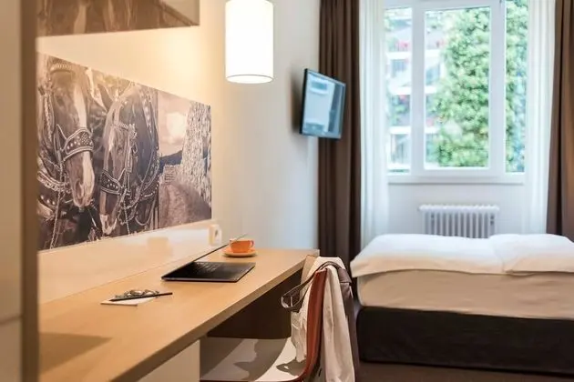 Comfort Tek Kişilik Oda, Bahçe Manzaralı