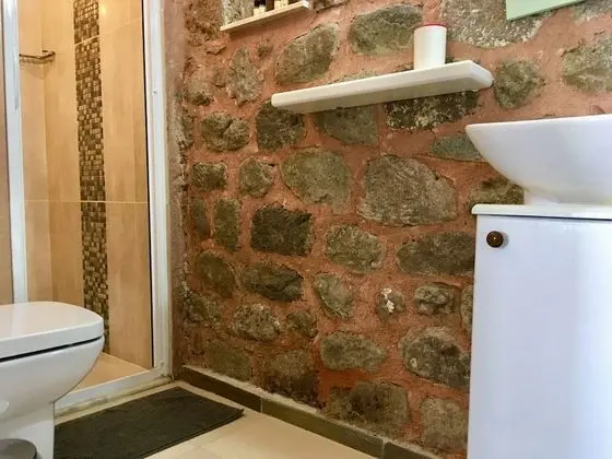 Deluxe Tek Büyük Yataklı Oda, 1 Çift Kişilik Yatak (with Fan)
