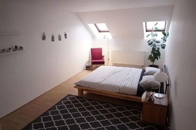 Panoramic Çatı Katı (Loft)