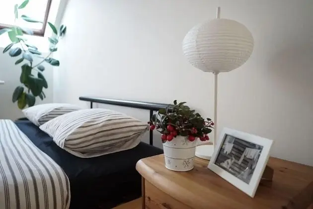 Panoramic Çatı Katı (Loft)