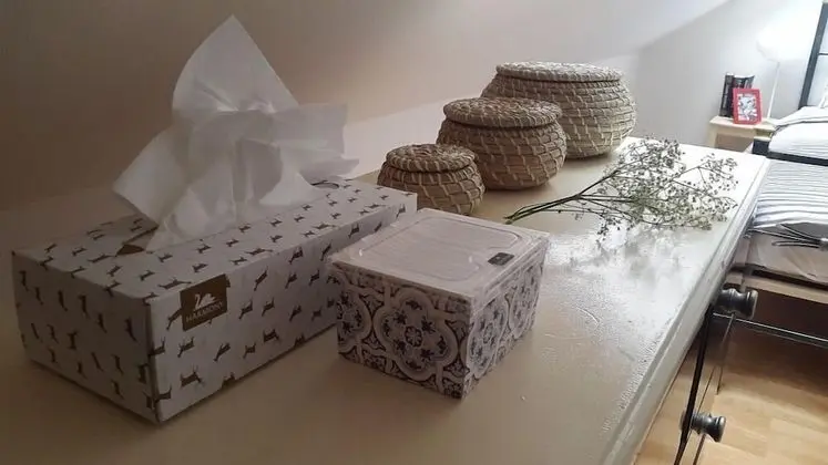 Panoramic Çatı Katı (Loft)