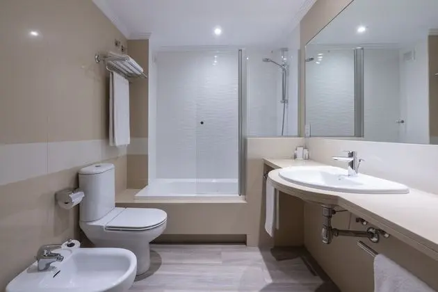 Standard Tek Büyük veya İki Ayrı Yataklı Oda (with extrabed (3 adults))
