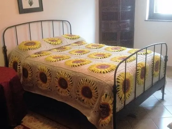 Standard Tek Büyük Yataklı Oda, Banyolu/Duşlu, Bahçe Manzaralı (Americana Room)