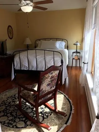 Standard Tek Büyük Yataklı Oda, Banyolu/Duşlu, Bahçe Manzaralı (Americana Room)