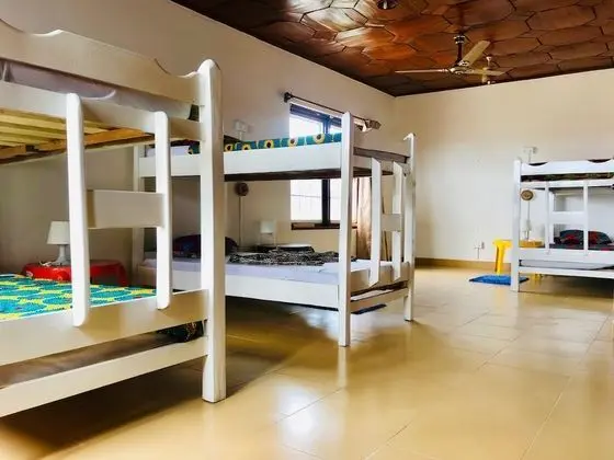 Bed in Shared Dormitory Room