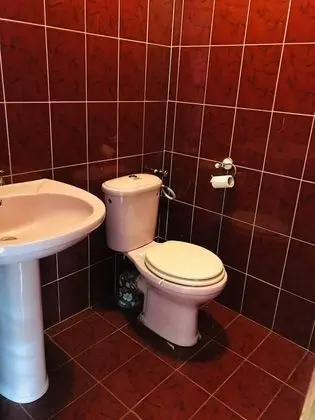 Bed in Shared Dormitory Room