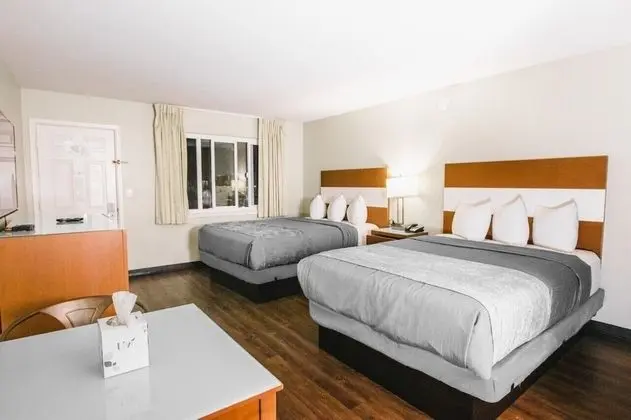 Standard Oda, 2 Büyük (Queen) Boy Yatak (Pet Friendly)
