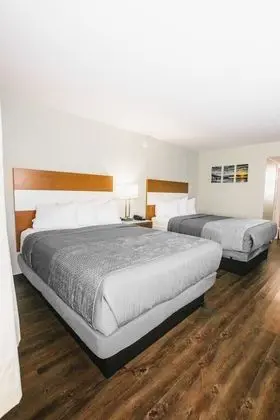 Standard Oda, 2 Büyük (Queen) Boy Yatak (Pet Friendly)