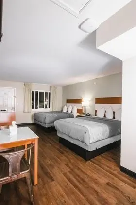 Standard Oda, 2 Büyük (Queen) Boy Yatak (Pet Friendly)