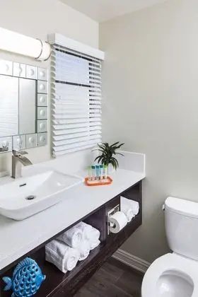Standard Oda, 2 Büyük (Queen) Boy Yatak (Pet Friendly)