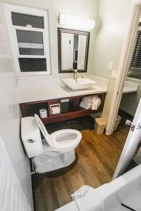Standard Oda, 2 Büyük (Queen) Boy Yatak (Pet Friendly)