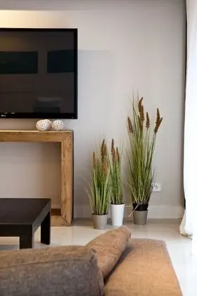 Presidential Apart Daire, 1 Yatak Odası, Sauna