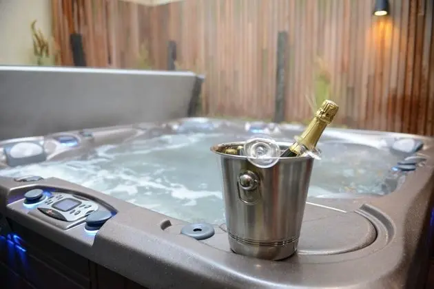Presidential Apart Daire, 1 Yatak Odası, Sauna