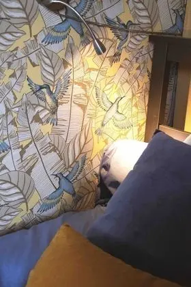 İki Ayrı Yataklı Oda (Soleil)