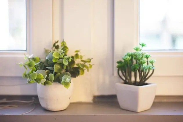 Tek Büyük Yataklı Oda (Zen)