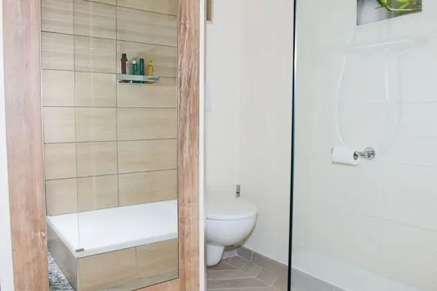 Superior Tek Büyük Yataklı Oda, 1 Çift Kişilik Yatak, Özel Banyo (Spacieuse)