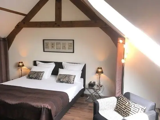 Superior Tek Büyük veya İki Ayrı Yataklı Oda, Özel Banyo (Coeur de Loup)