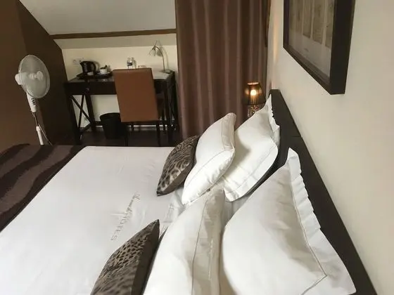 Superior Tek Büyük veya İki Ayrı Yataklı Oda, Özel Banyo (Coeur de Loup)