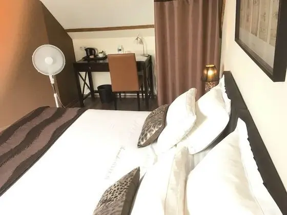 Superior Tek Büyük veya İki Ayrı Yataklı Oda, Özel Banyo (Coeur de Loup)