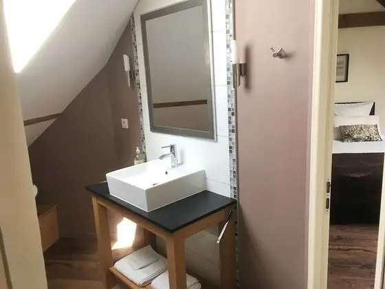 Superior Tek Büyük veya İki Ayrı Yataklı Oda, Özel Banyo (Coeur de Loup)