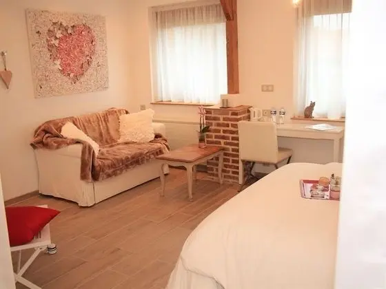 Tek Büyük Yataklı Oda, Banyolu/Duşlu, Bahçe Manzaralı (Accroche coeur)