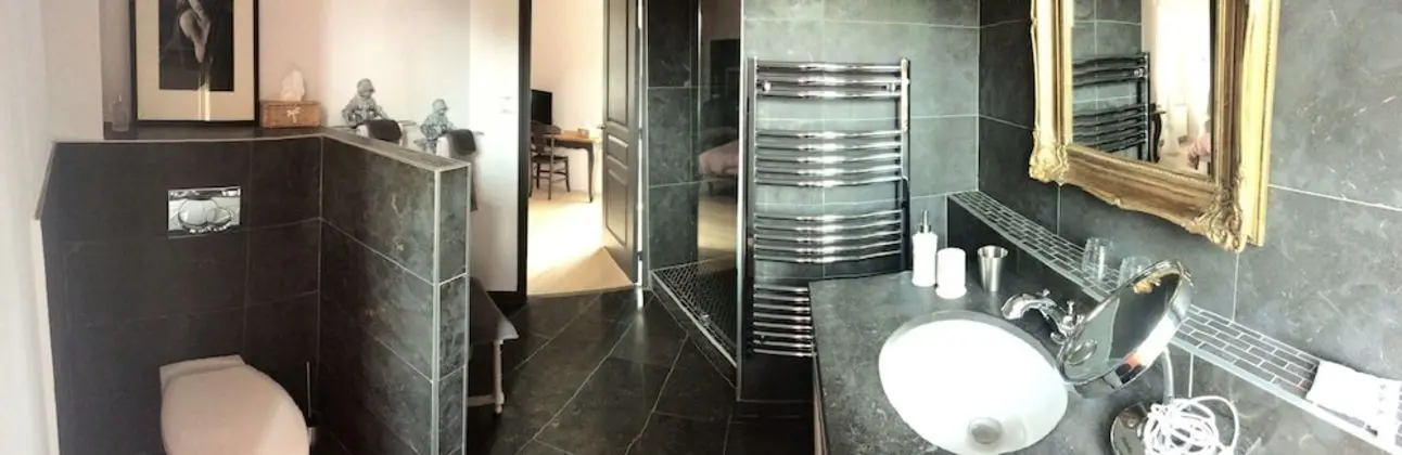Deluxe Tek Büyük Yataklı Oda (Virginie)