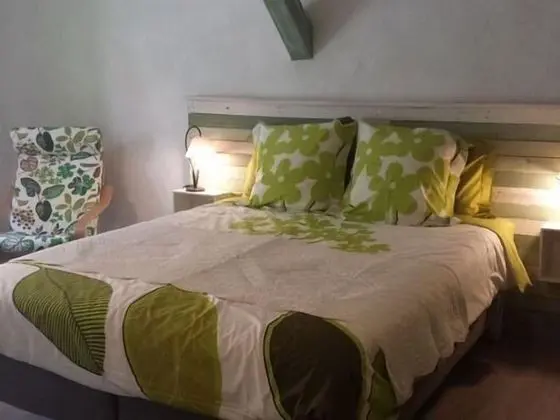 Tek Büyük Yataklı Oda, Banyolu/Duşlu (Olivier)