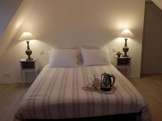 Tek Büyük Yataklı Oda, Bahçe Manzaralı (Chambre Priscille)