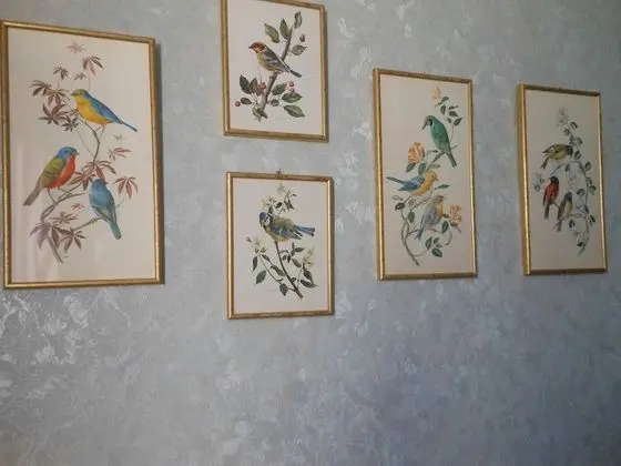 Comfort Tek Büyük Yataklı Oda (Fleurs et Oiseaux)