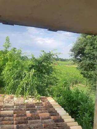 Dört Kişilik Oda, Sigara İçilmez, Özel Banyo