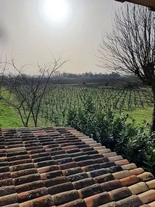 Dört Kişilik Oda, Sigara İçilmez, Özel Banyo