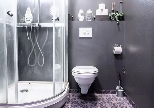 Standard Tek Büyük veya İki Ayrı Yataklı Oda, Ortak Banyo (2)