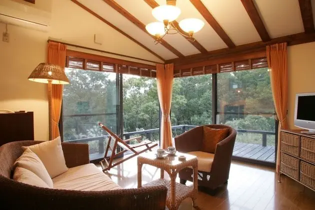 Standard Oda (Japanese Western Style)