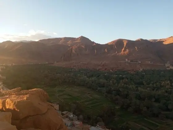 Oda, 1 Yatak Odası, Bahçe Manzaralı