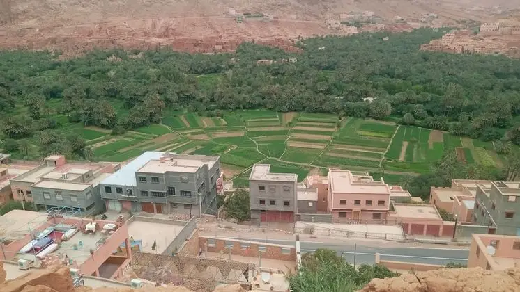 Oda, 1 Yatak Odası, Bahçe Manzaralı