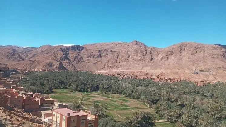 Panoramic Tek Büyük Yataklı Oda, 1 Çift Kişilik Yatak, Bahçe Manzaralı