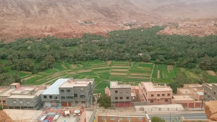 Panoramic Tek Büyük Yataklı Oda, 1 Çift Kişilik Yatak, Bahçe Manzaralı
