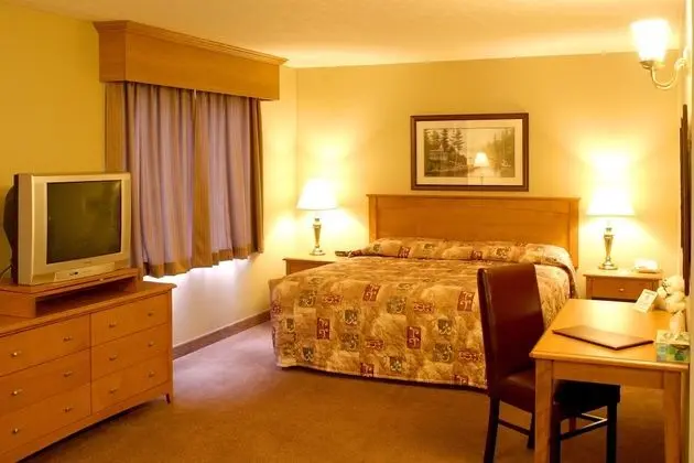 Master Suite, Kitchenette, 1 king bed with sofa bed