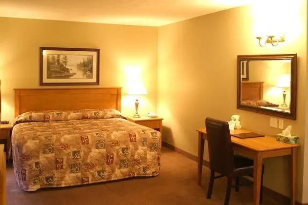 Master Suite, Kitchenette, 1 king bed with sofa bed
