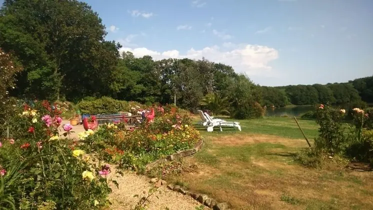 Comfort Oda (Pere Jean)