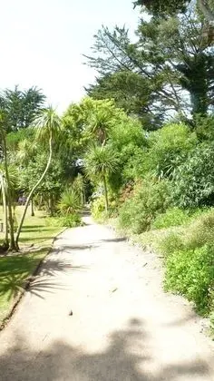 Comfort Oda (Pere Jean)