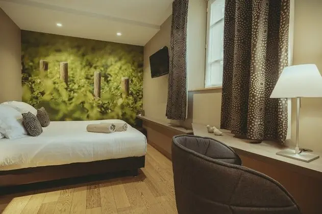 Superior Tek Büyük Yataklı Oda, Engellilere Uygun