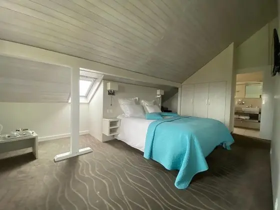 Superior Tek Büyük Yataklı Oda