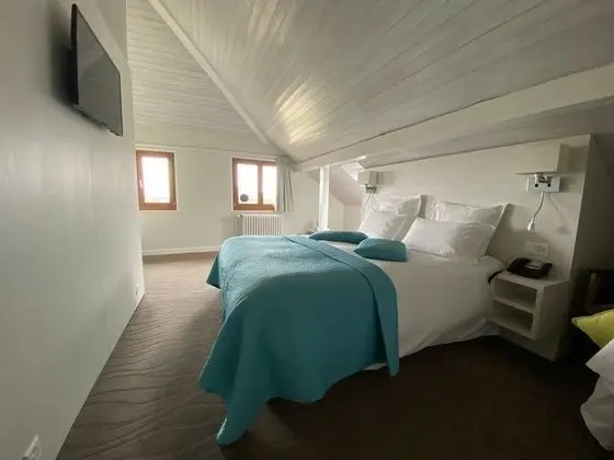 Superior Tek Büyük Yataklı Oda