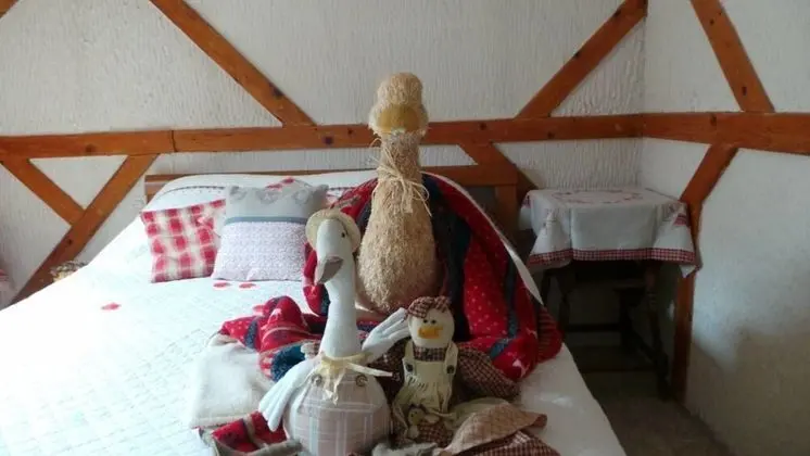 Tek Büyük Yataklı Oda, Dağ Manzaralı