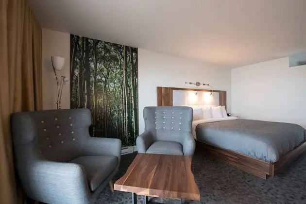 Superior Oda, 1 En Büyük (King) Boy Yatak, Balkon