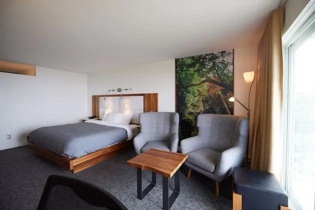 Superior Oda, 1 En Büyük (King) Boy Yatak, Balkon