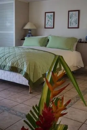 Comfort Tek Büyük Yataklı Oda, Balkon, Okyanus Manzaralı